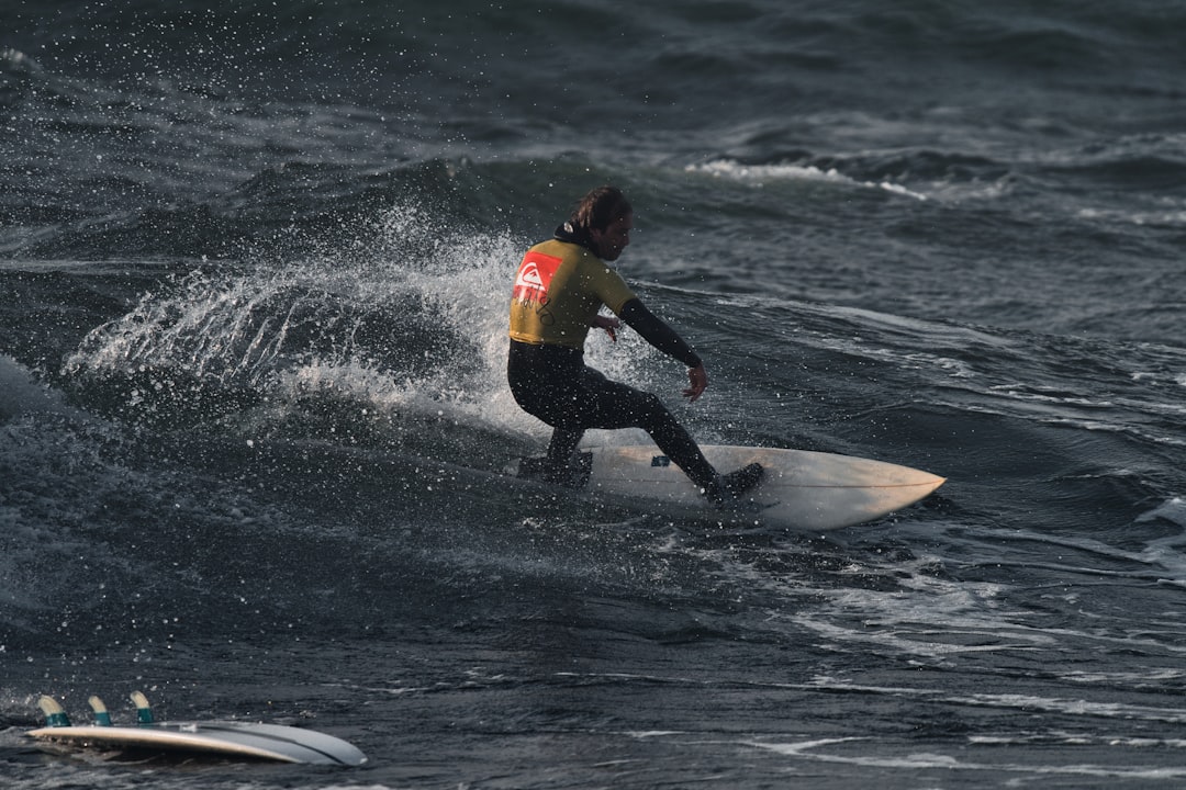 Surfer SEO dashboard Surfer SEO dashboard