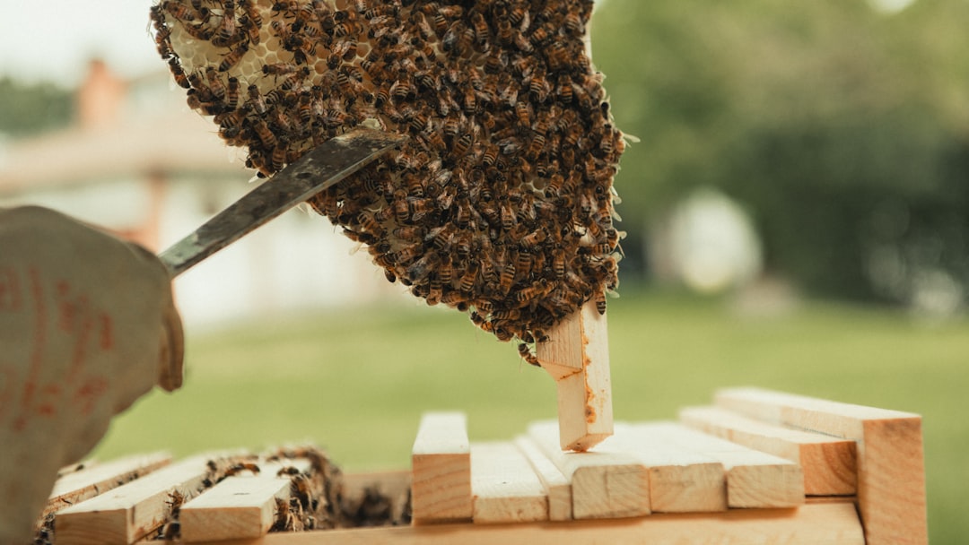 API testing benefits