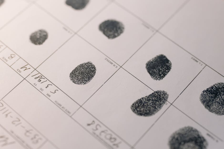 data re-identification process