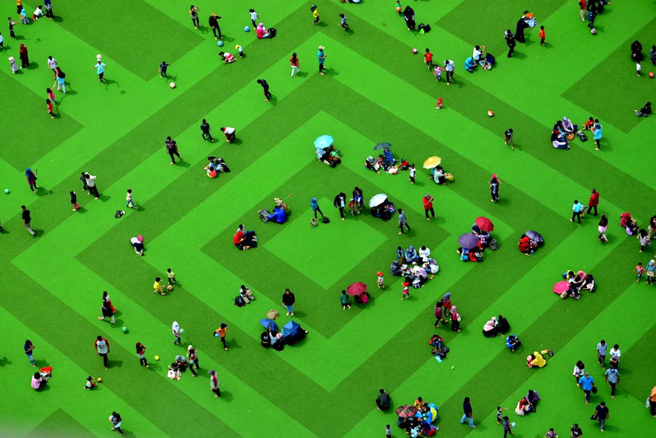 diverse perspectives