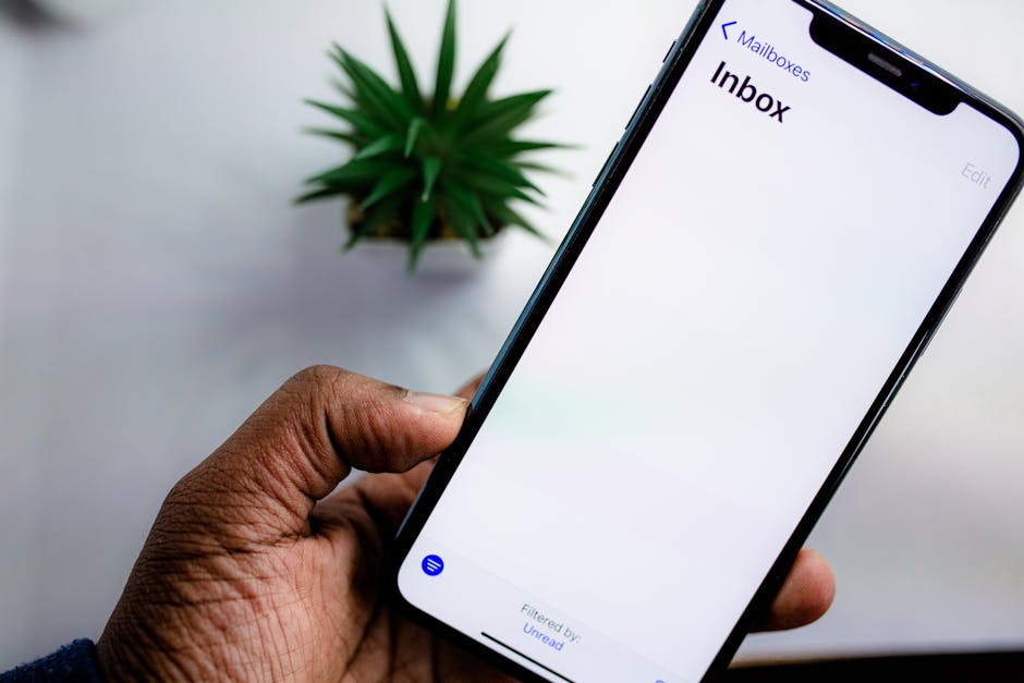 newsletter email inbox