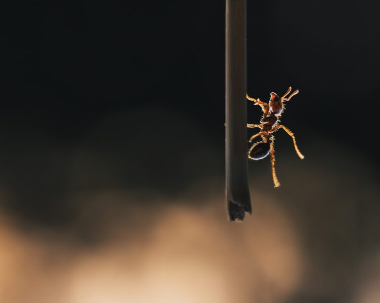 small team collaboration