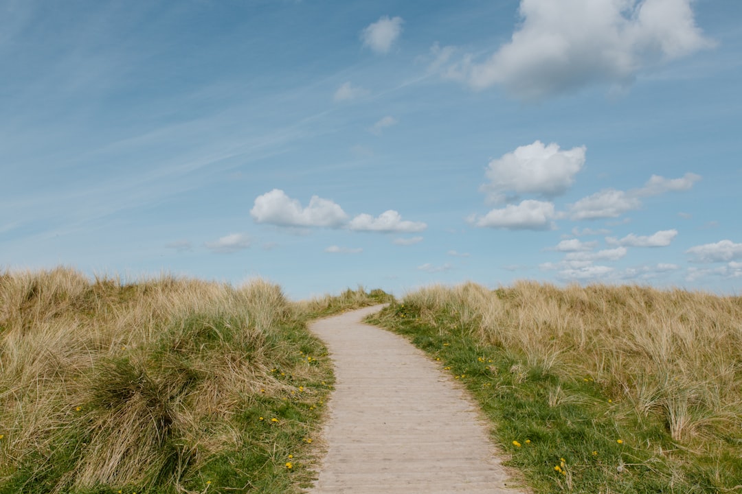 strategic resilience path strategic resilience path