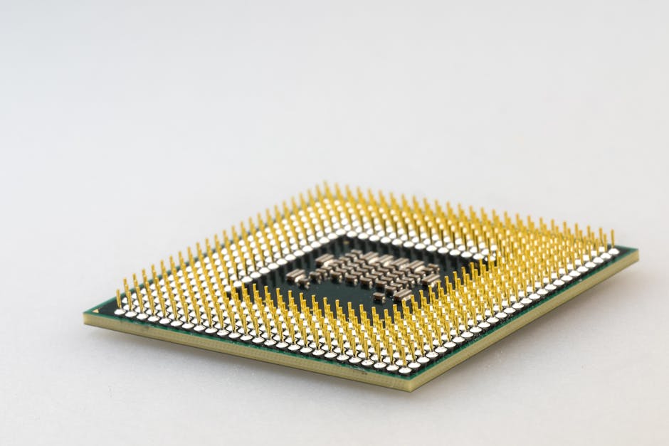 brain vs computer chip