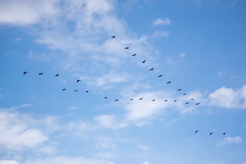 data migration challenge