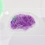 human brain AI brain comparison